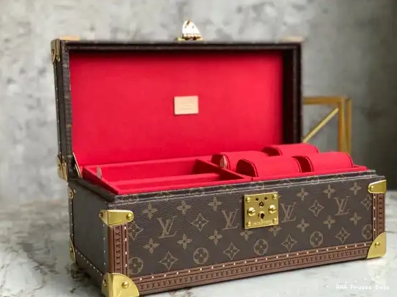 AAA Pruses Bags LOUIS COFFRET VUITTON ACCESSOIRES 0525